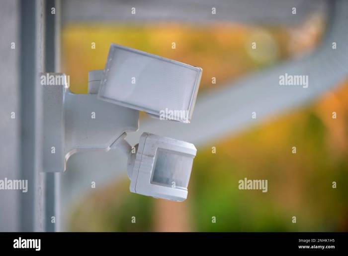 Exterior Motion Detector Alarms: Lighting Contractors' Common Questions ... Exterior Motion Detector Alarms: Lighting Contractors' Common Questions ...